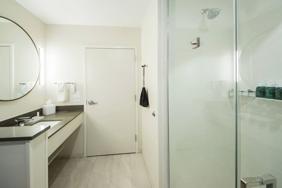 Hair dryer, towels, soap, shampoo