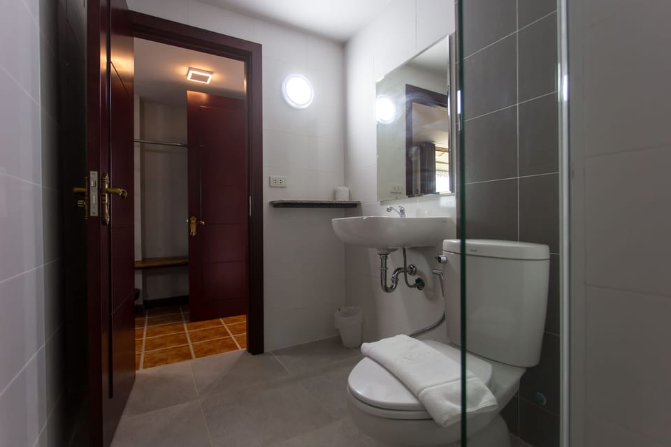 Deluxe Double Room  | Bathroom | Shower, free toiletries, towels