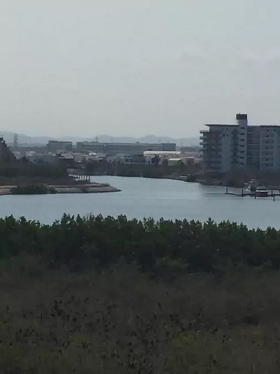 View from property