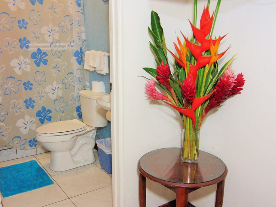 Casa Lima Bed & Breakfast Bed and Breakfast in San Jose