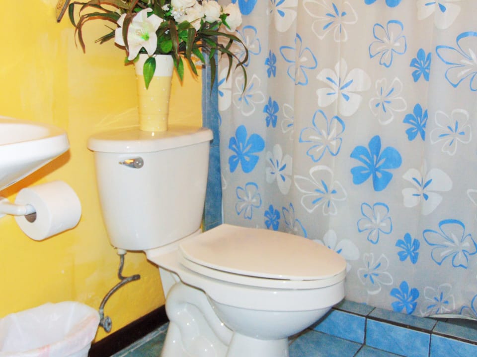Casa Lima Bed & Breakfast Bed and Breakfast in San Jose