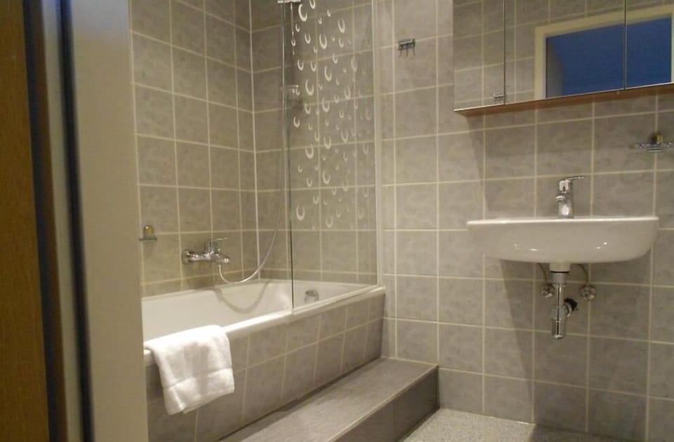 Shower, free toiletries, hair dryer, towels
