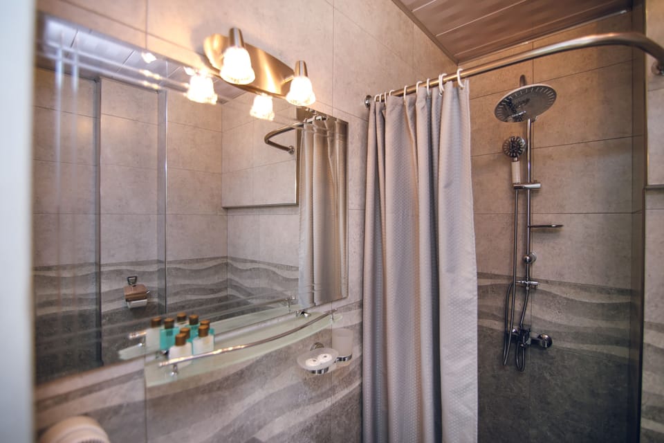 Shower, free toiletries, hair dryer, slippers