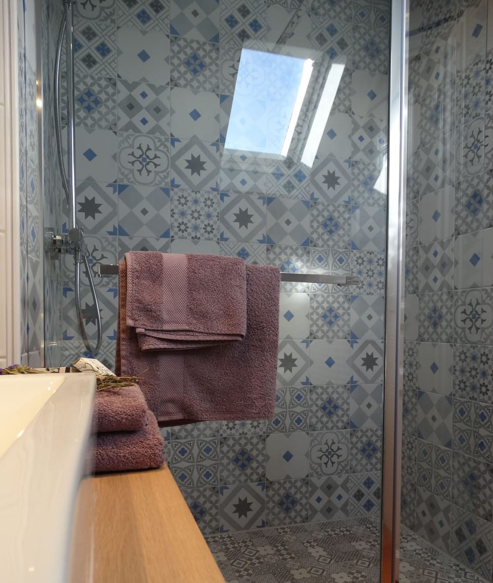 Deluxe Double Room (Chambre d'Athanase) | Bathroom | Shower, free toiletries, hair dryer, towels