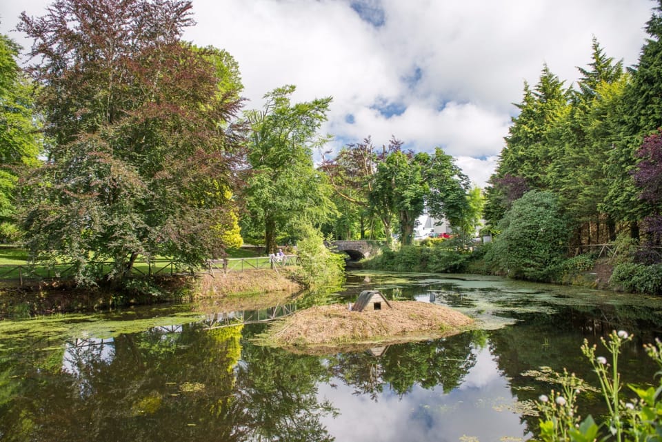 Children's activities