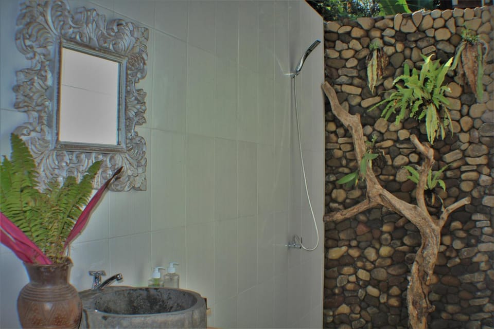 Shower, free toiletries, hair dryer, towels