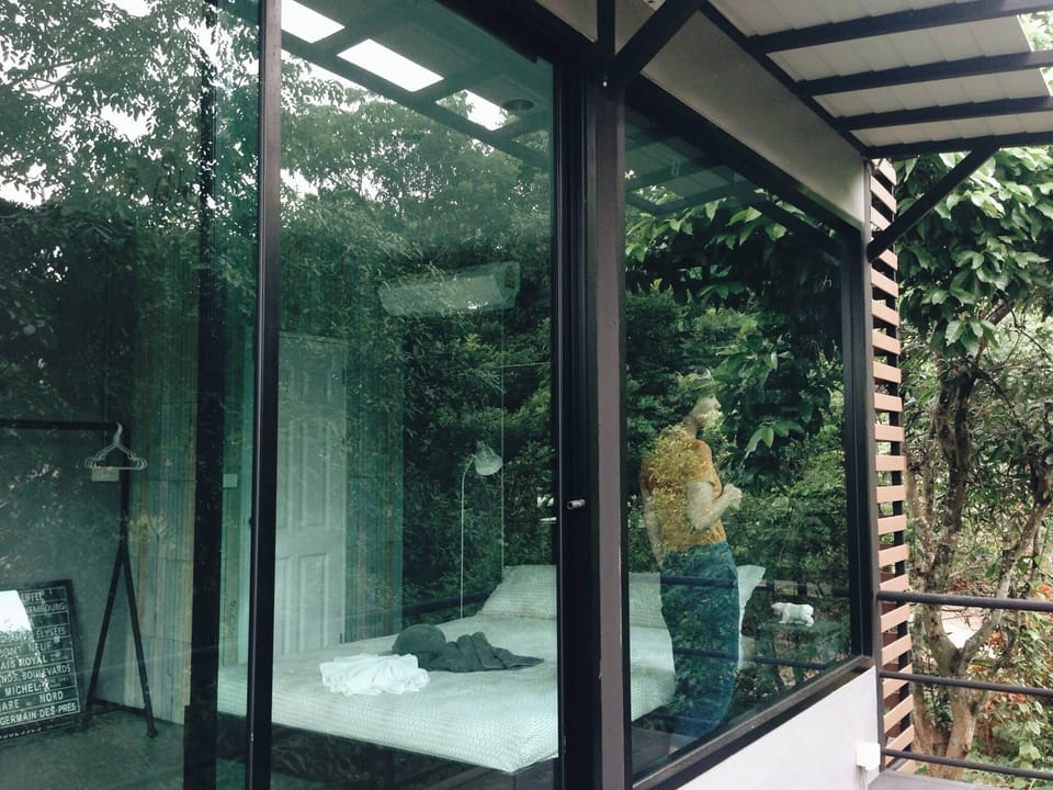 Studio Room Forest View | Blackout drapes, free WiFi