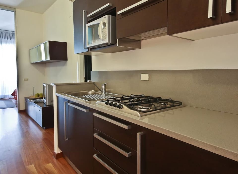 Apartment, 1 Bedroom | Private kitchen | Full-size fridge, stovetop, electric kettle, toaster