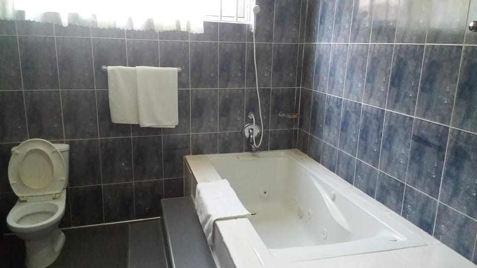 Combined shower/tub, deep soaking tub, free toiletries, towels