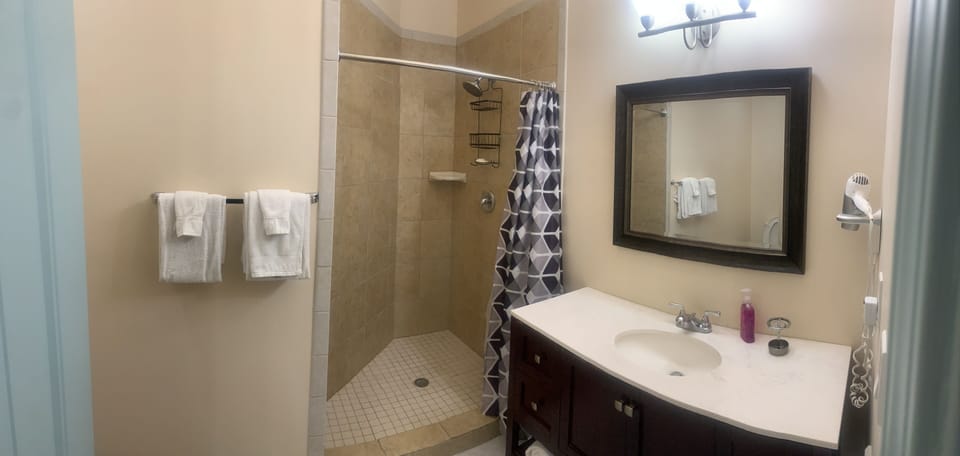Apartment | Bathroom | Combined shower/tub, free toiletries, hair dryer, towels
