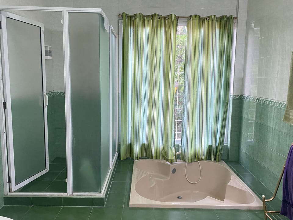 Deluxe Suite | Bathroom | Shower, eco-friendly toiletries, towels