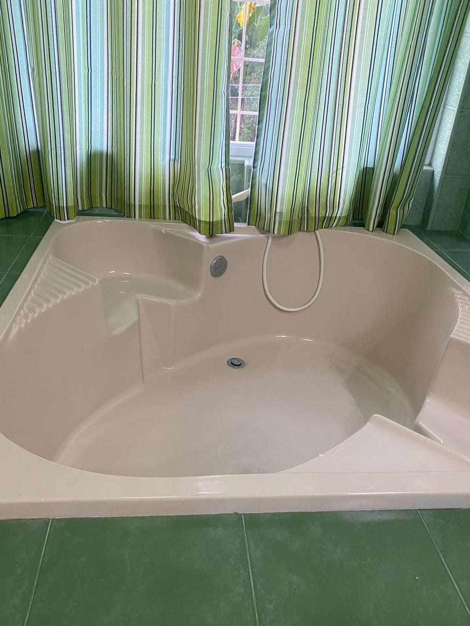 Deluxe Suite | Bathroom | Shower, eco-friendly toiletries, towels