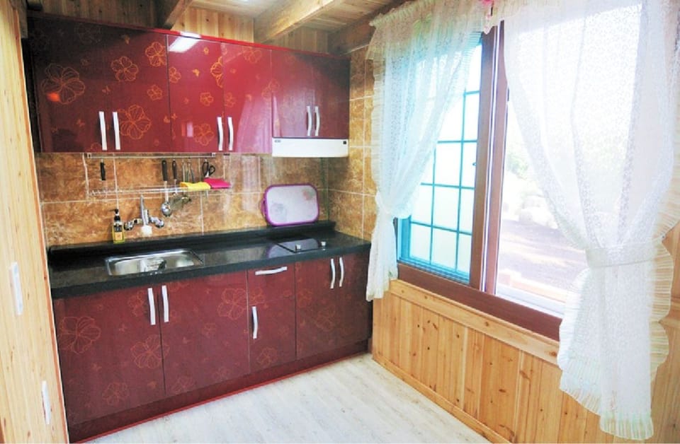 Full-size fridge, microwave, electric kettle, rice cooker