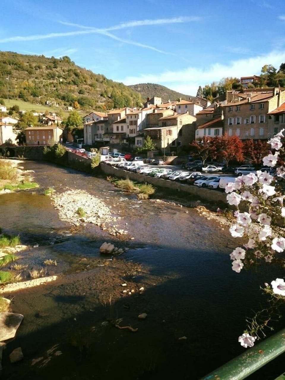 Le Chat Blanc Bed and Breakfast in Occitanie