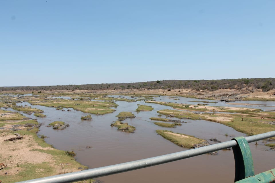 Kruger Vista