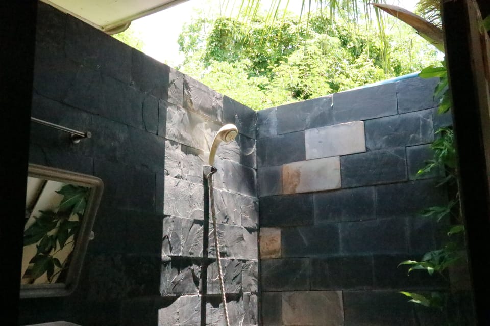 Deluxe Room, 1 Bedroom, Non Smoking, Courtyard View | Bathroom | Shower, free toiletries, towels, soap