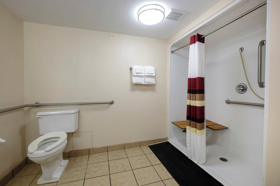 Deluxe Room, 1 King Bed, Accessible, Non Smoking (Roll-In Shower) | Accessible bathroom