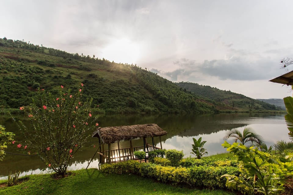 Lake view