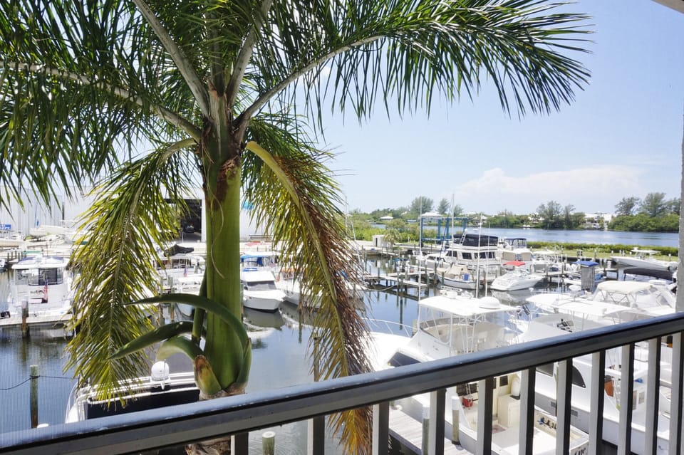 Overlooking the Aqua Marina