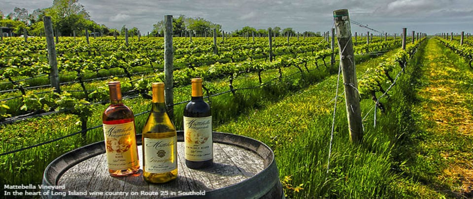 20 min from Wine Country on the North Fork.