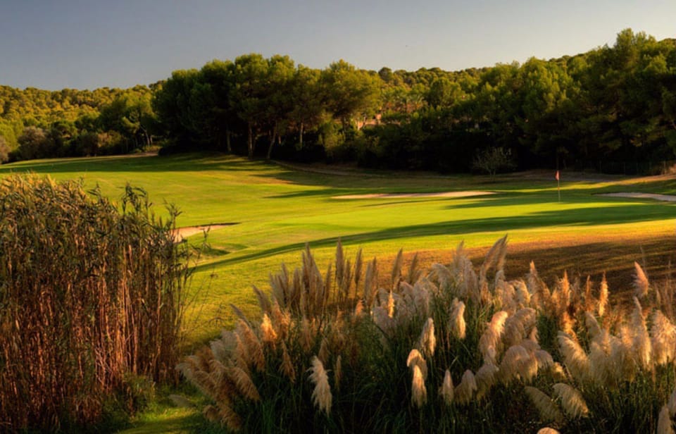 GOLF SANTA PONÇA