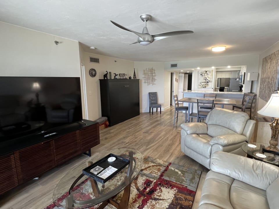 View from lanai to living room