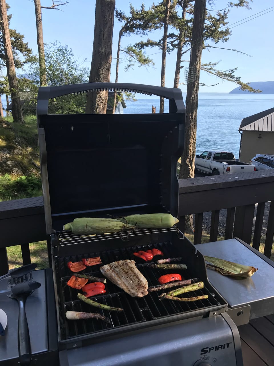 Barbecue (with a view)