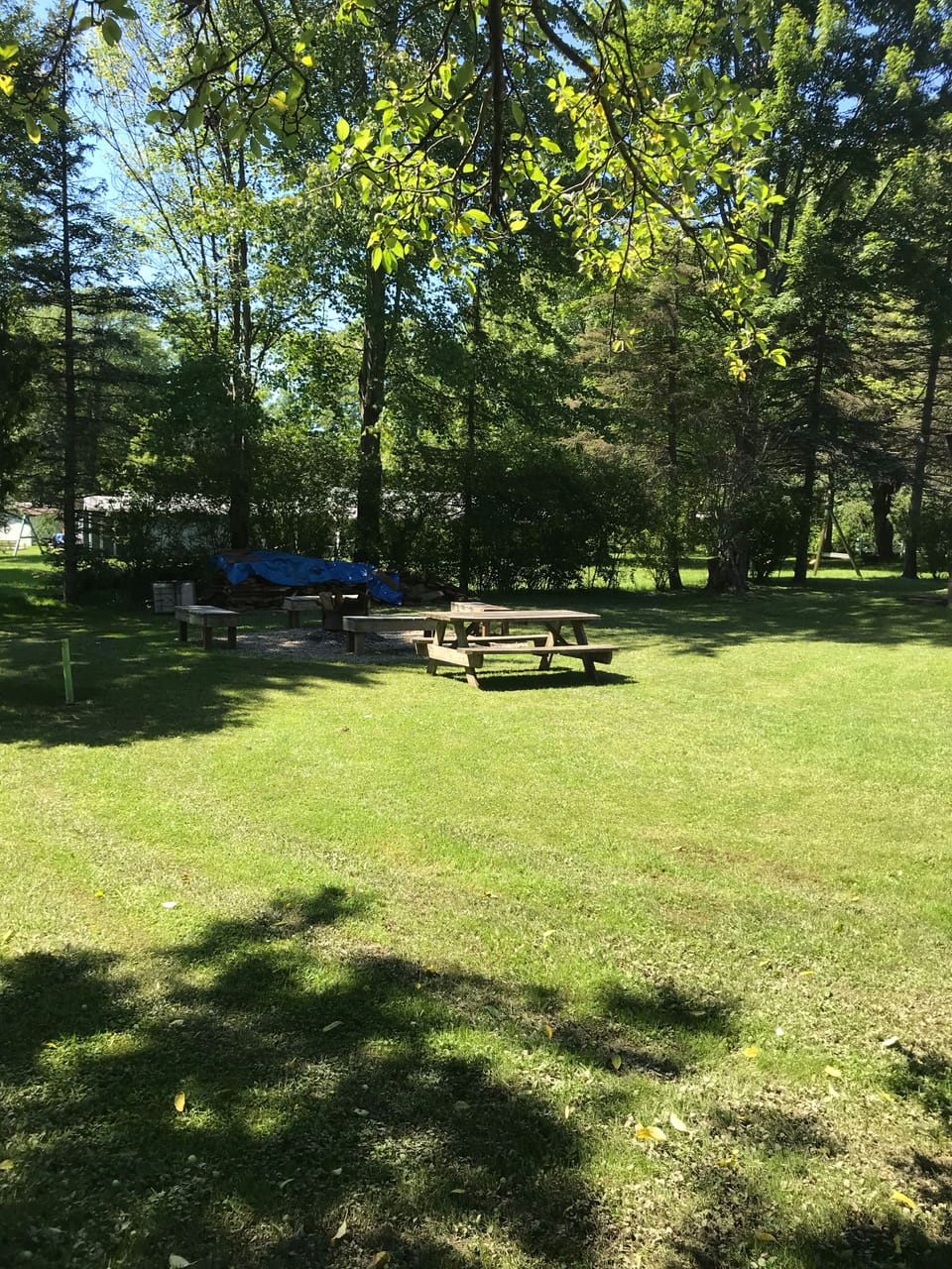 Large backyard 