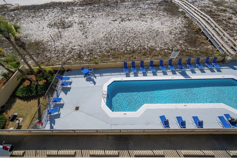 Lounge poolside beneath tall palms while laughter and splashes signal beach fun and adventure