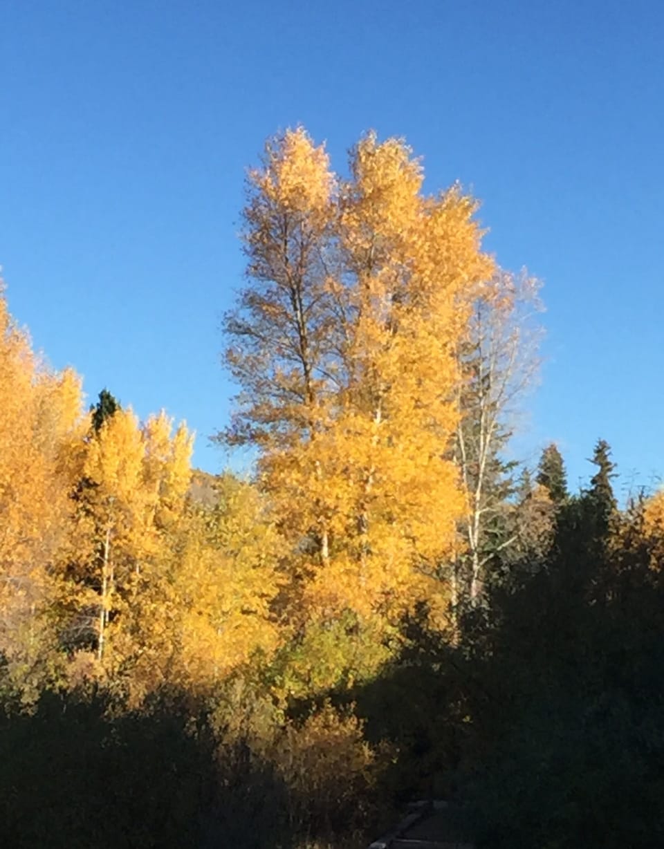 This unit offers stunning views from both front and back throughout the season