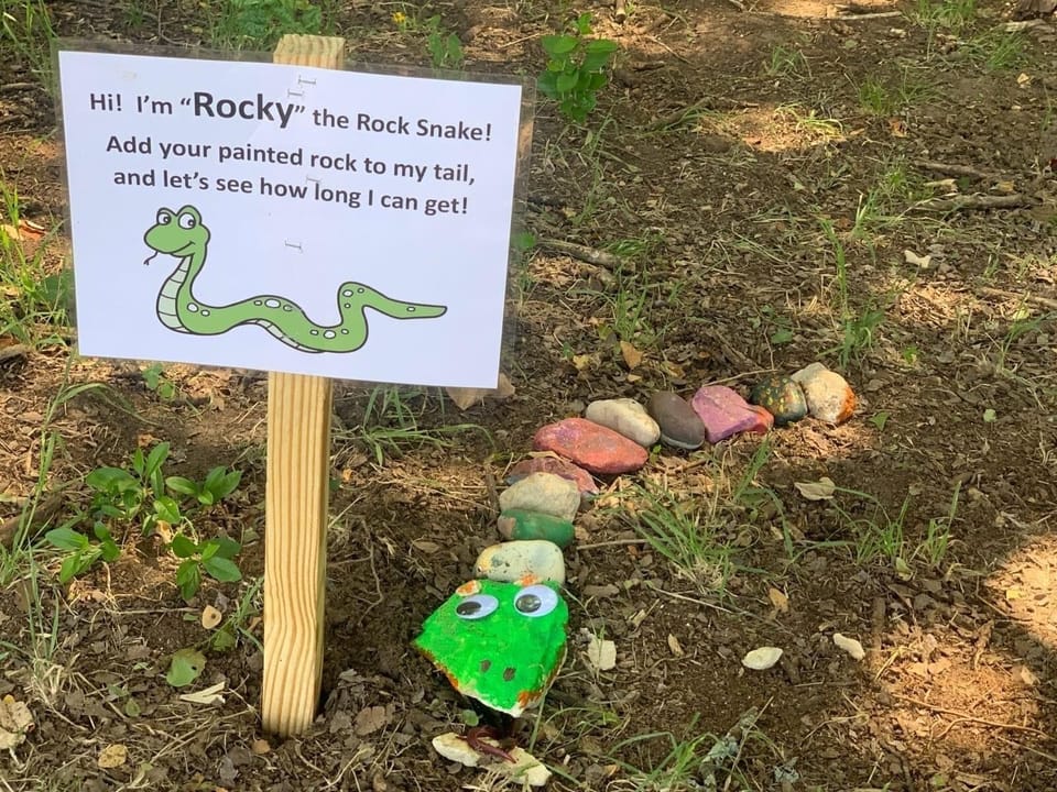 Help Rocky grow!