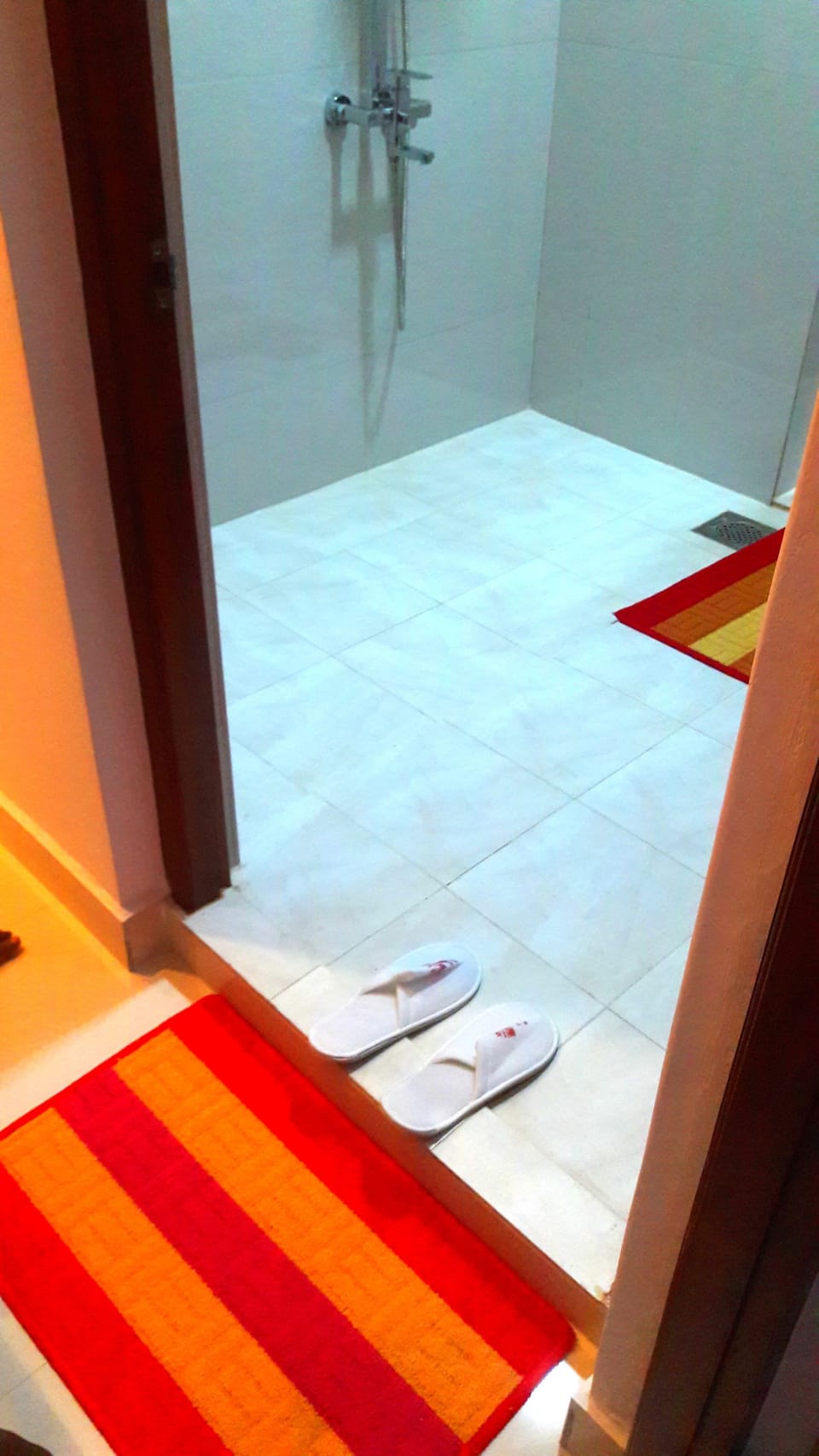 Shower, free toiletries, towels