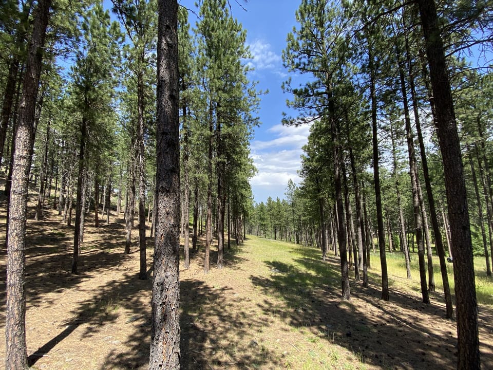 View from deck