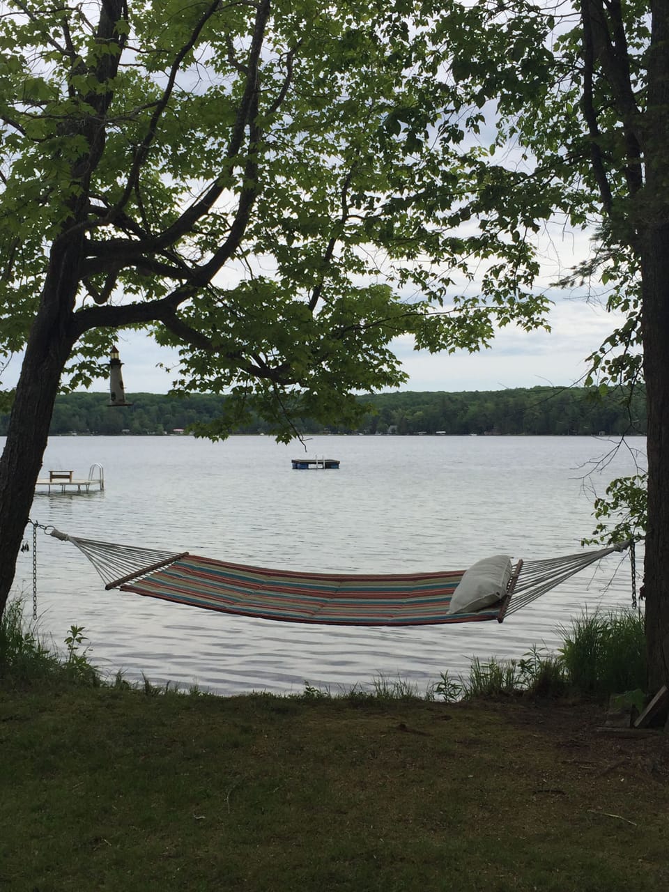 Relax in the hammock