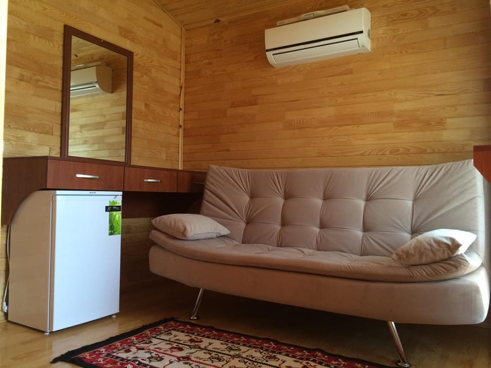 Flat-screen TV