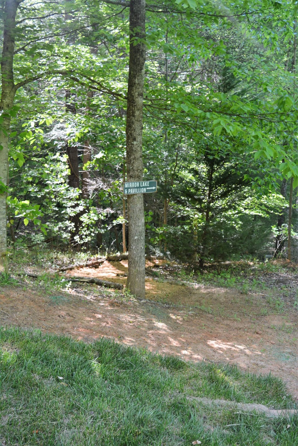 Walk to the Broad River and Mirror Lake