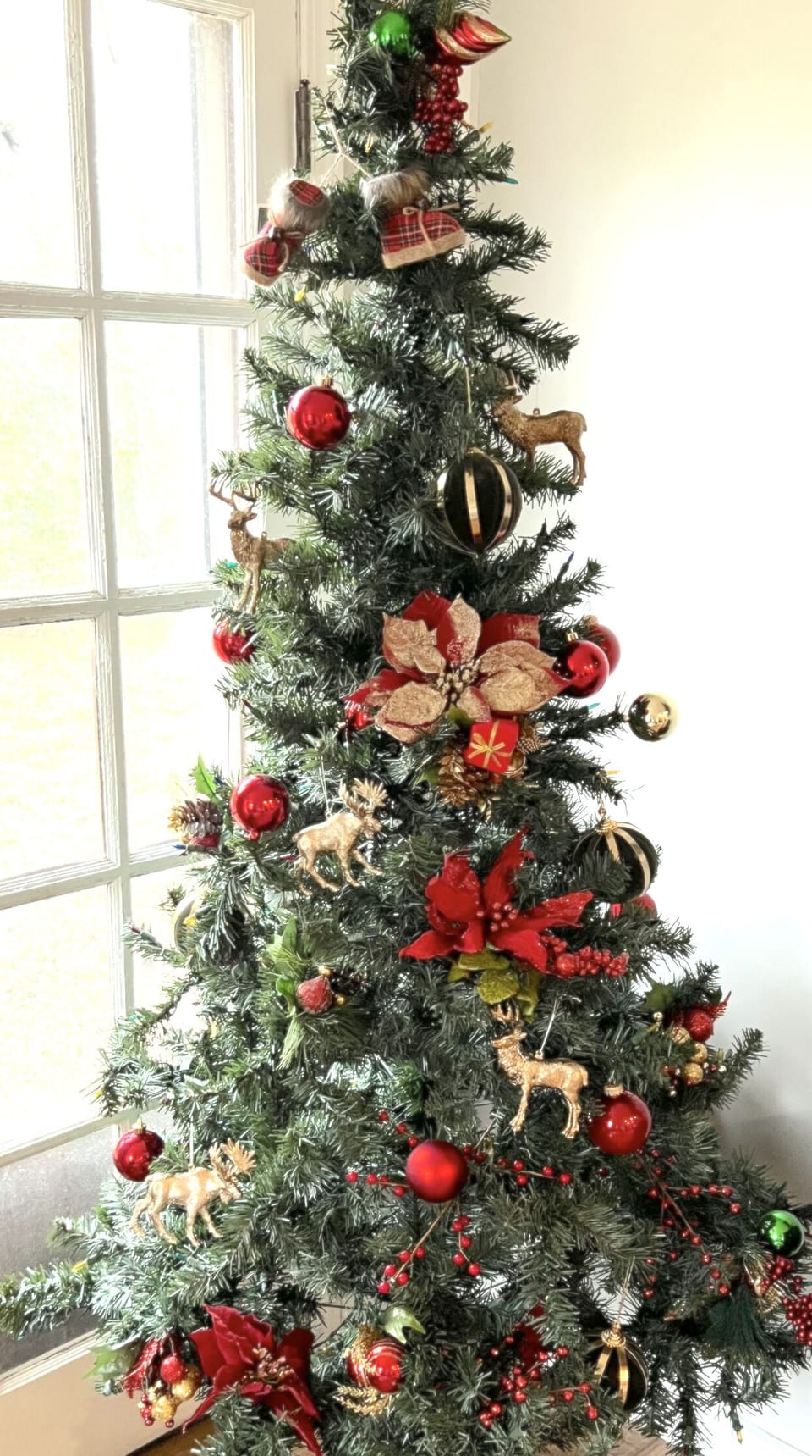 A full size Christmas tree for you to celebrate the holidays!