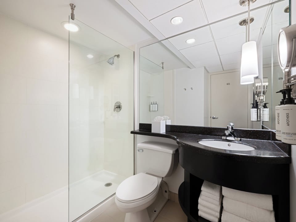 Shower, free toiletries, hair dryer, towels