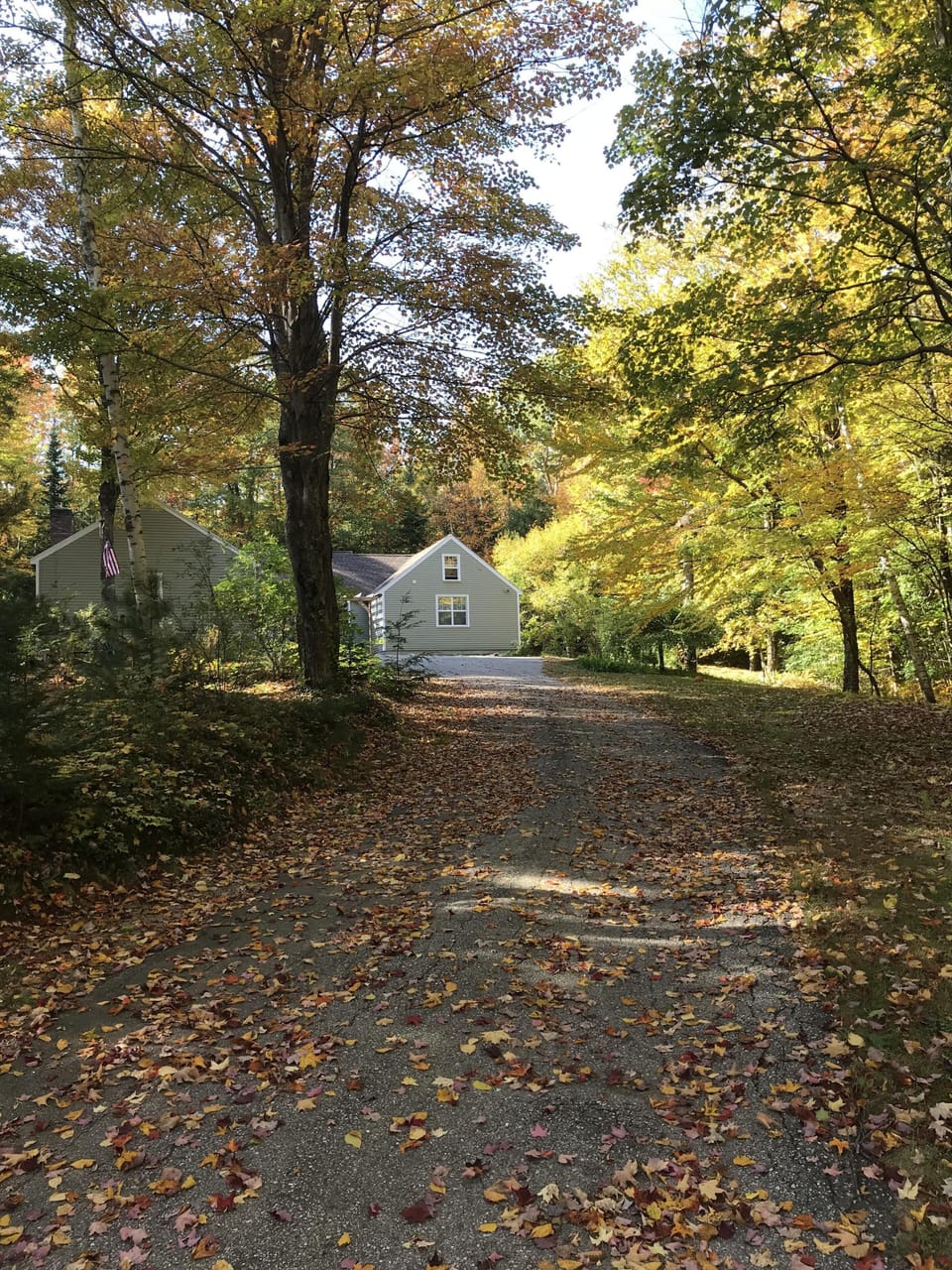 Fall