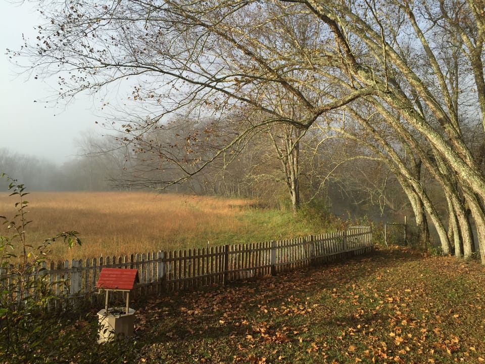 View from deck during winter overlooking meadow and river.
