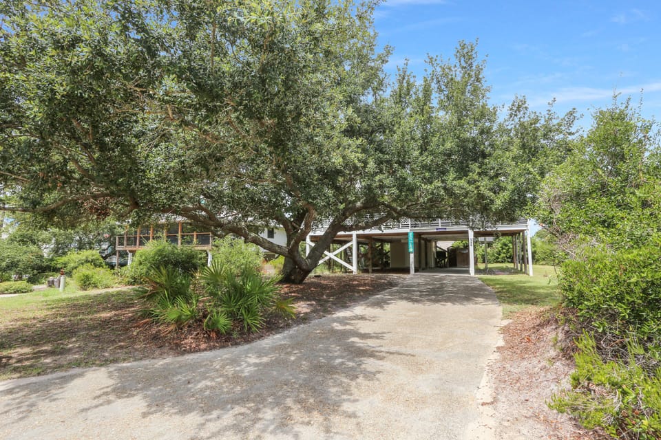 Roadside Exterior with Amazing Shade Tree