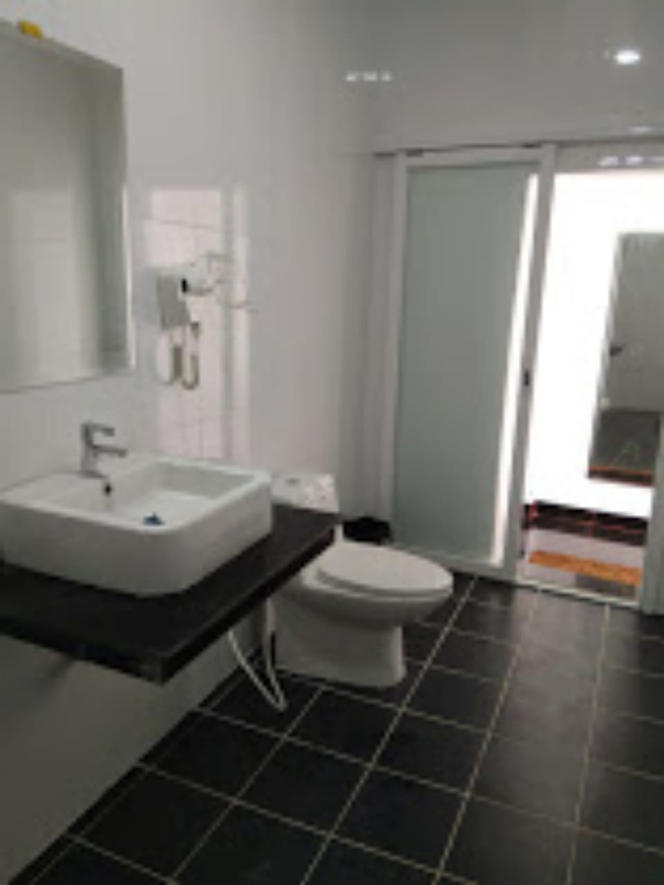 Deluxe Twin Room | Bathroom | Shower, free toiletries, hair dryer, slippers