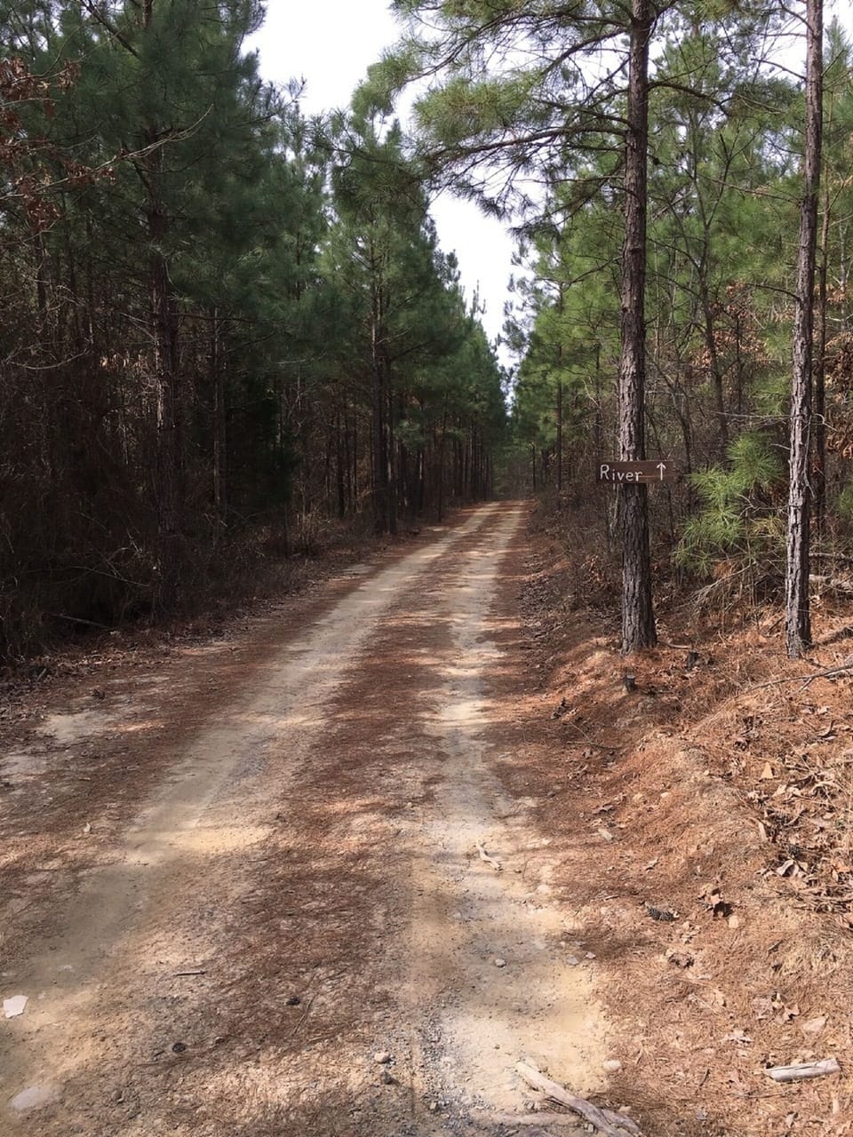 Road to River from Sunset Ridge Cabin