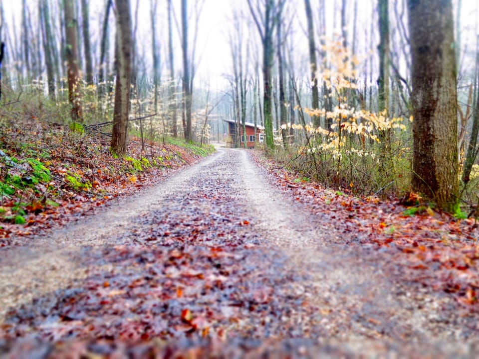 The winding lane that takes you to Kick Back