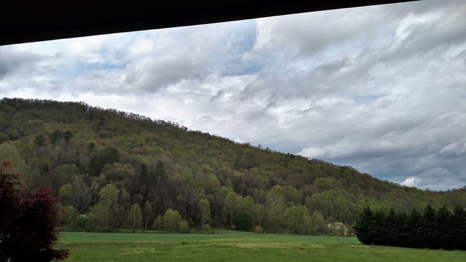 View from property