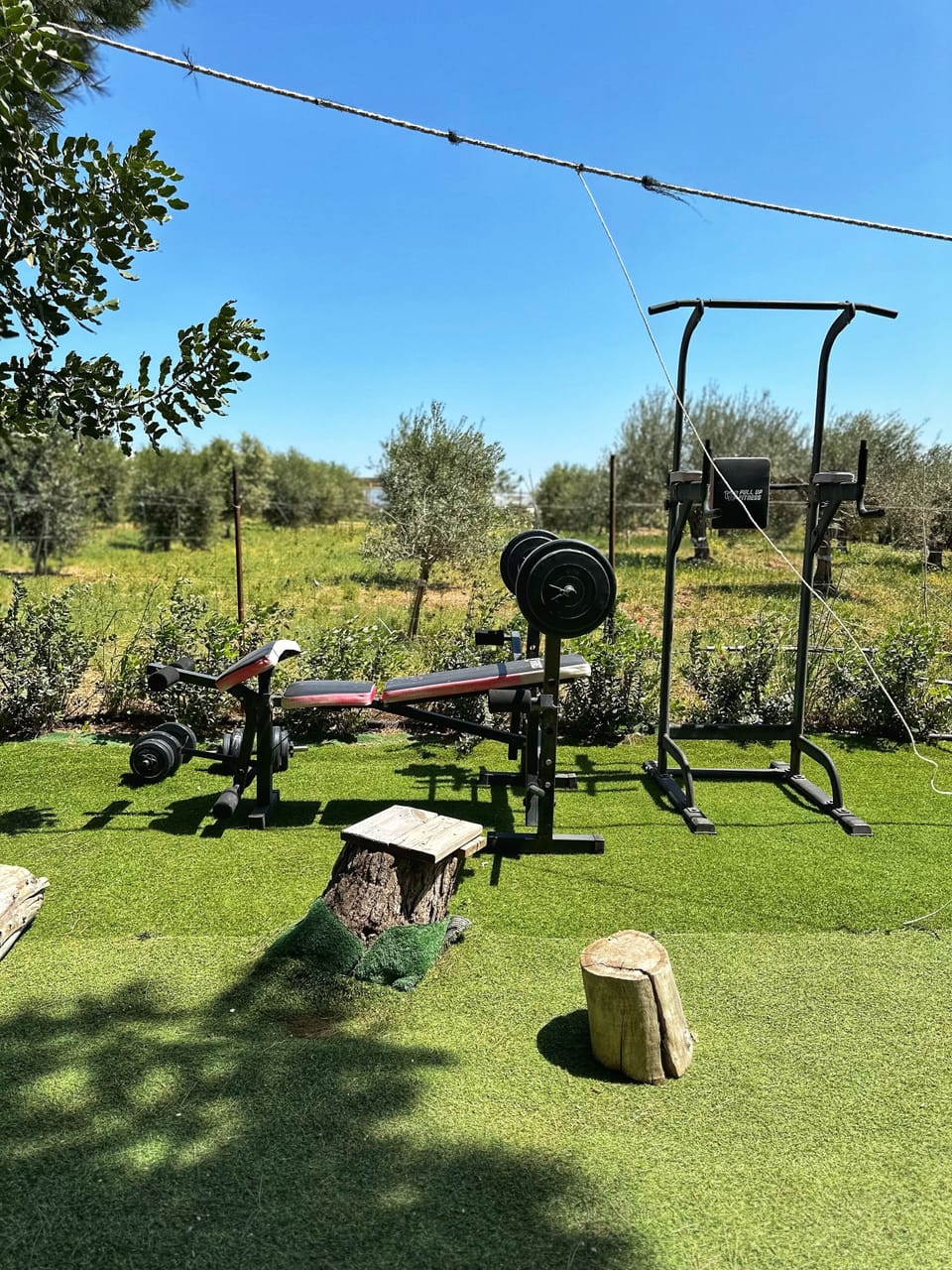 Gym