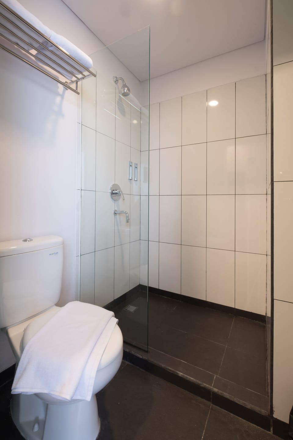 Shower, free toiletries, slippers, bidet
