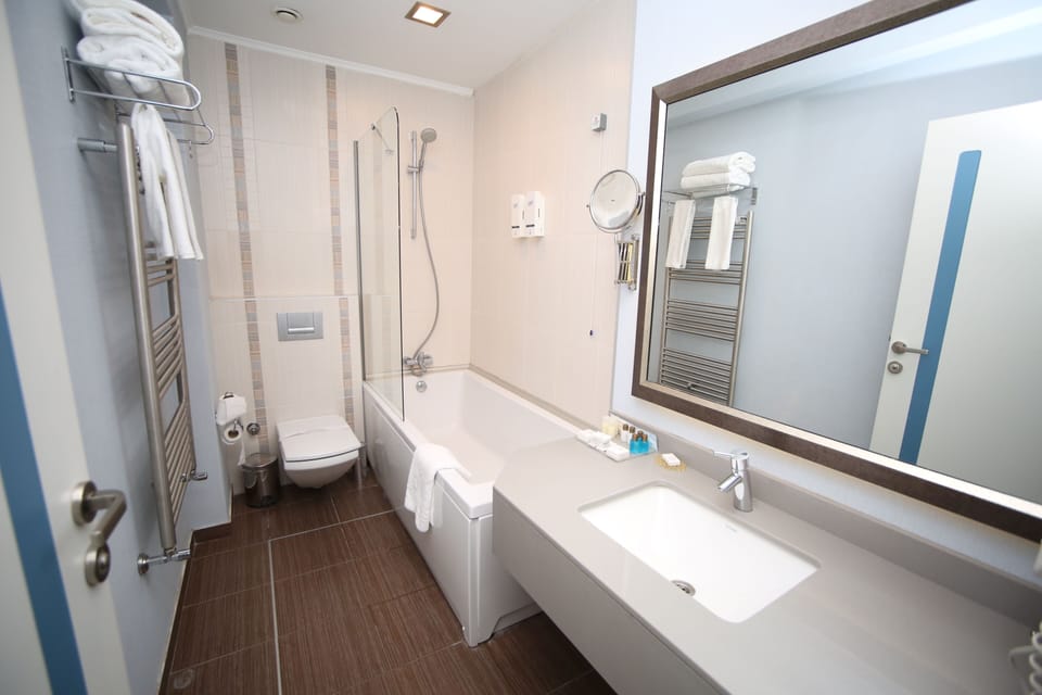Business Room | Bathroom | Hair dryer, slippers, towels, soap