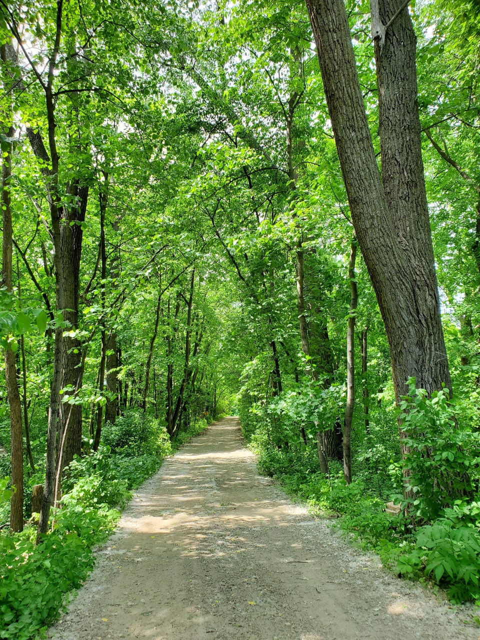 Quiet, wooded, secluded area