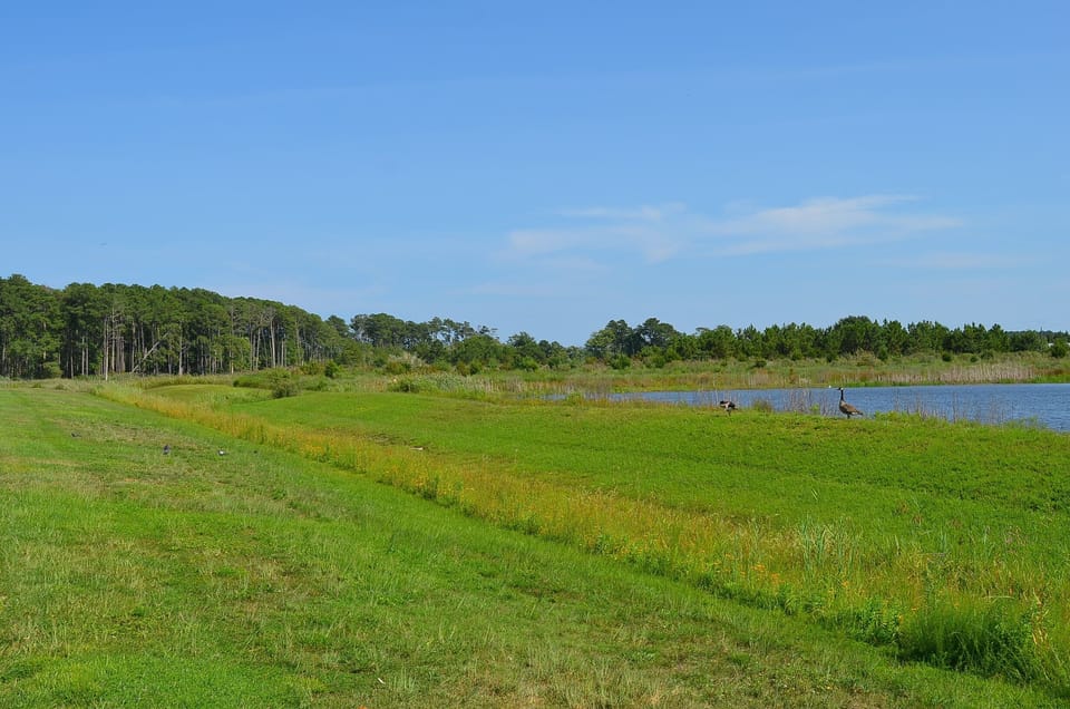 Your Back Yard - Enjoy Peace and Tranquility only this location can offer. 